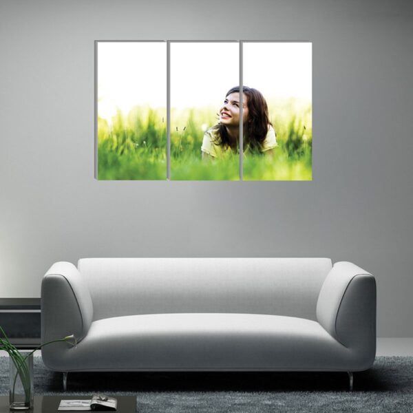 Split Canvas Prints (3 piece canvas)